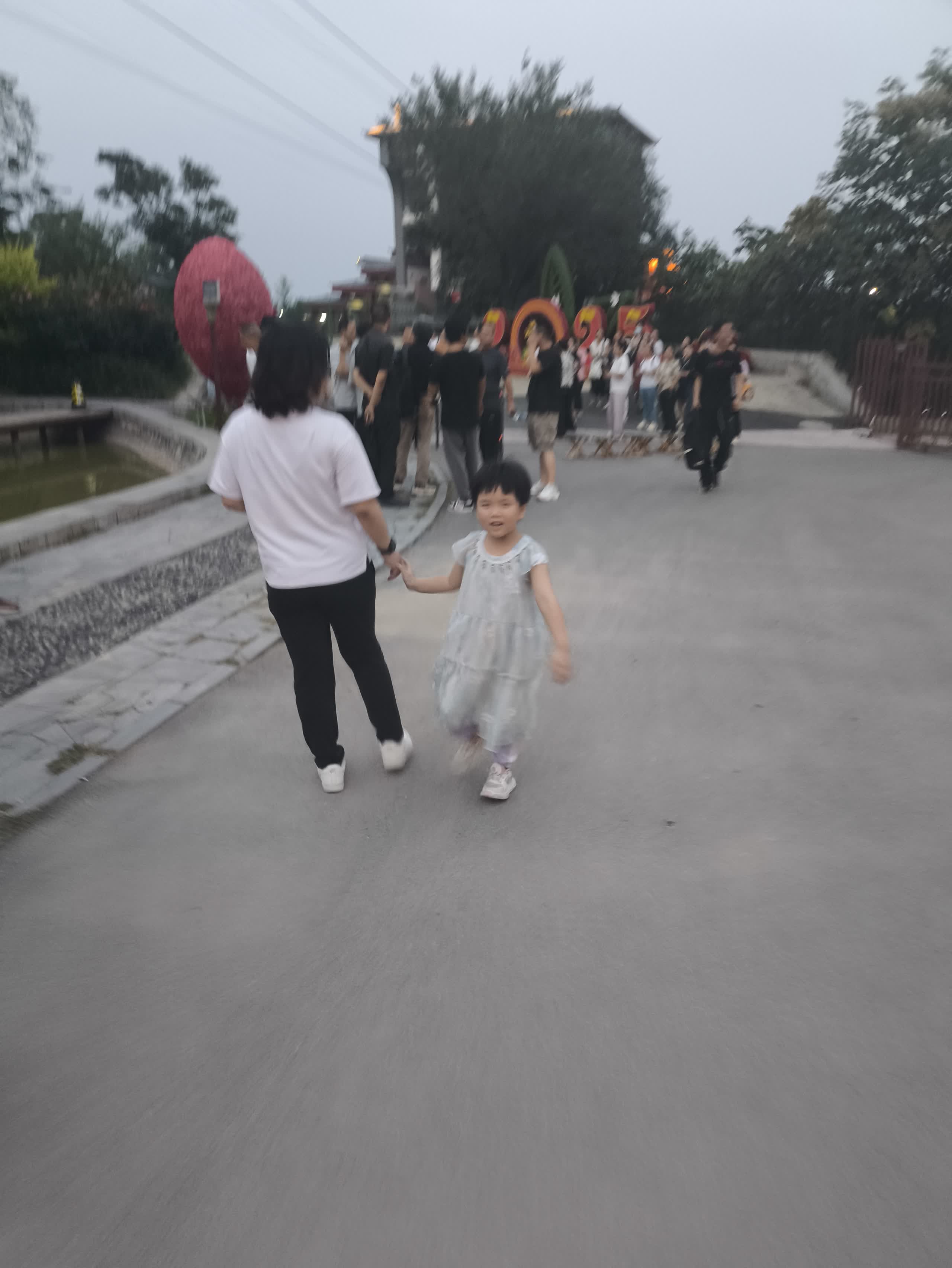 IMG_20250802_194128.jpg IMG_20250802_194128.jpg