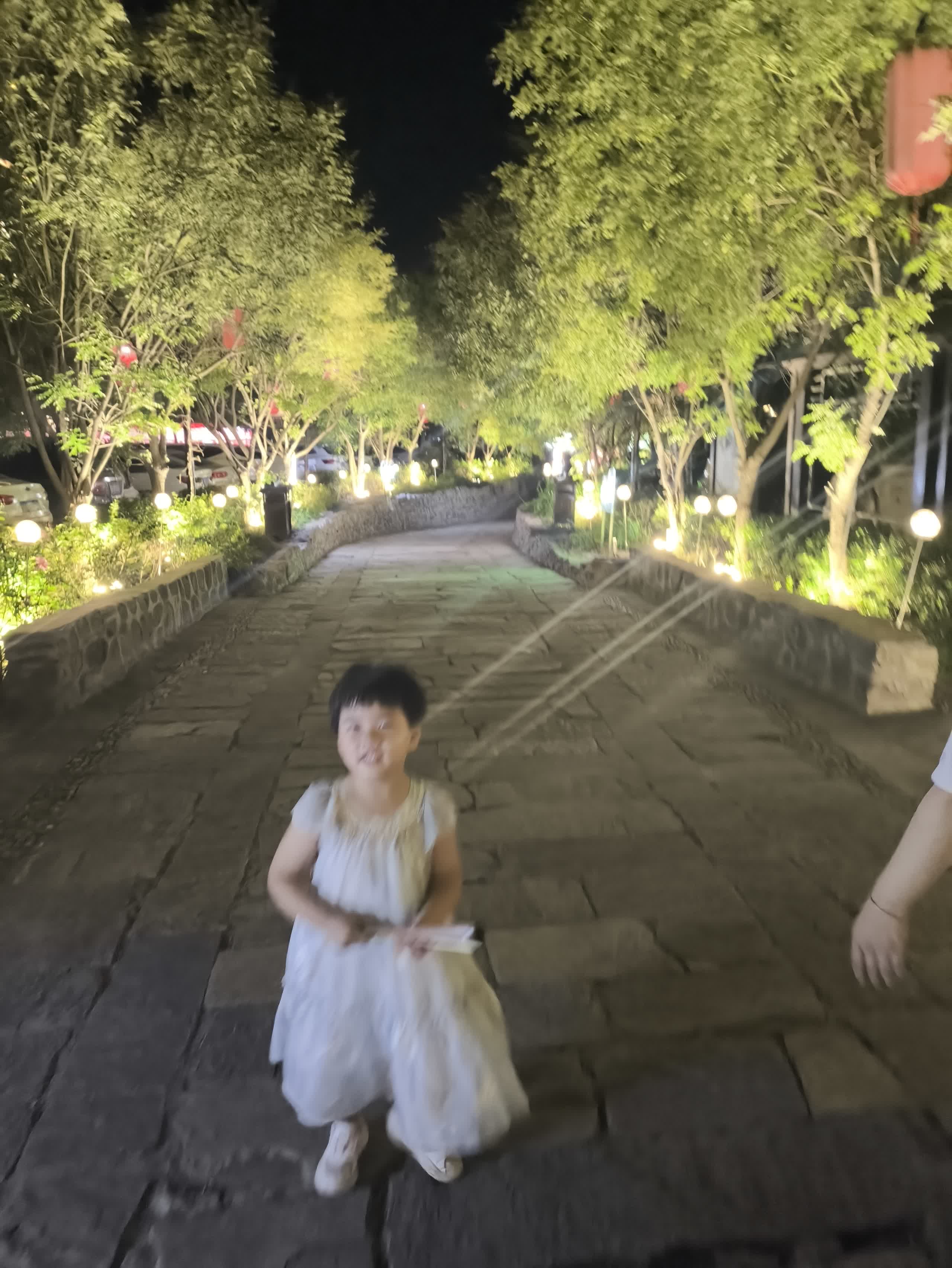 IMG_20250802_201924.jpg IMG_20250802_201924.jpg