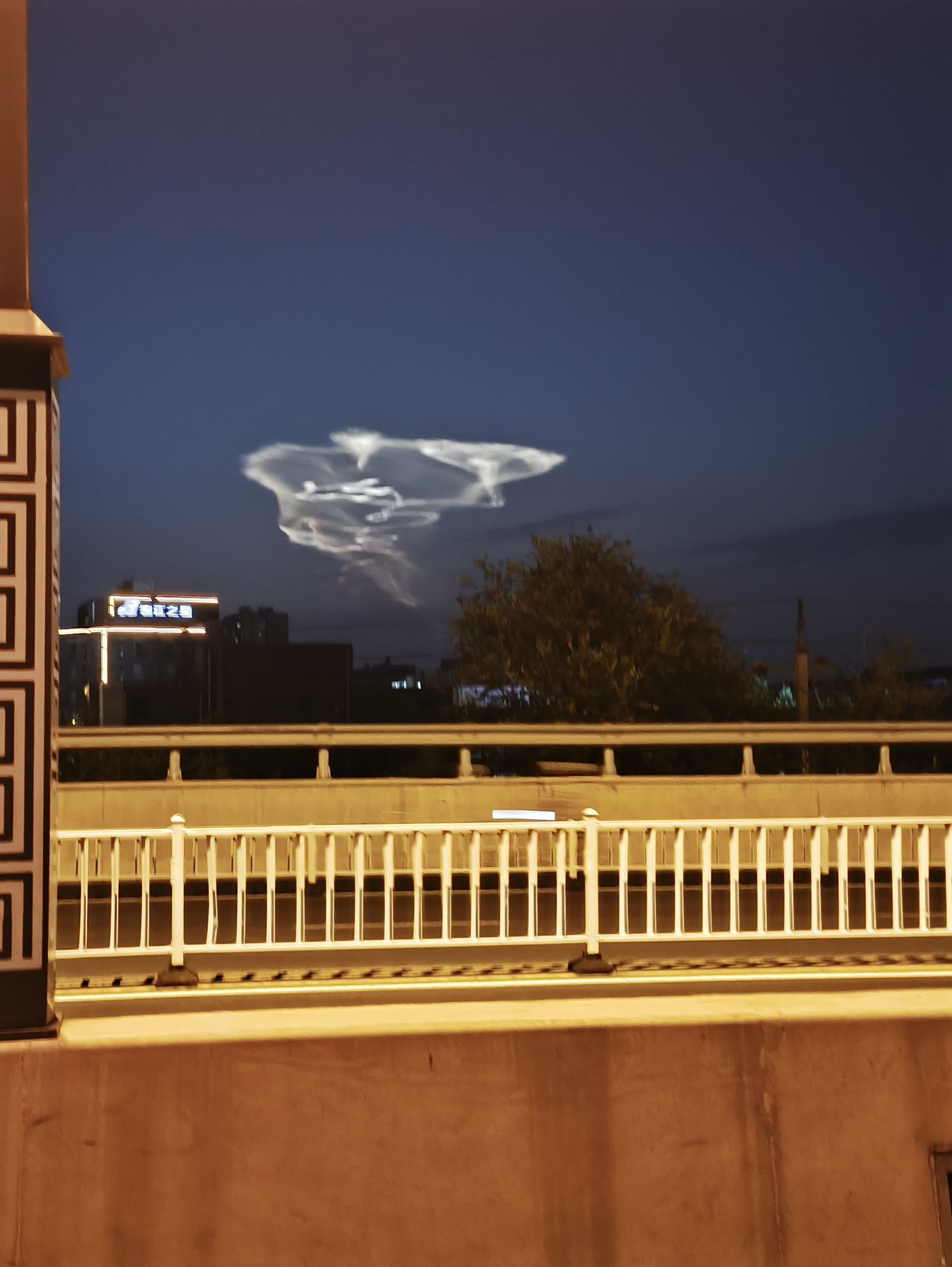 IMG_20250929_184554.jpg IMG_20250929_184554.jpg