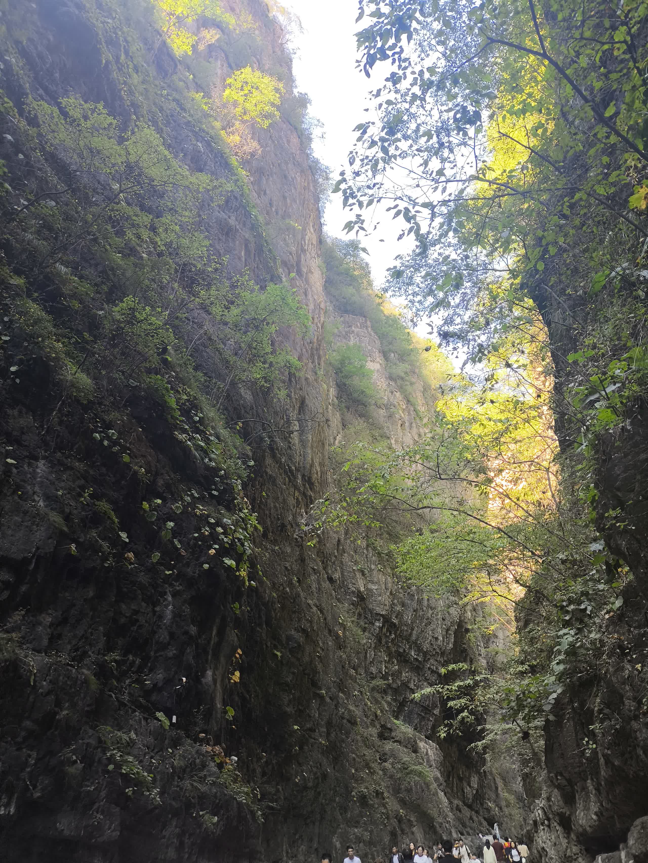 IMG_20251002_121551.jpg IMG_20251002_121551.jpg