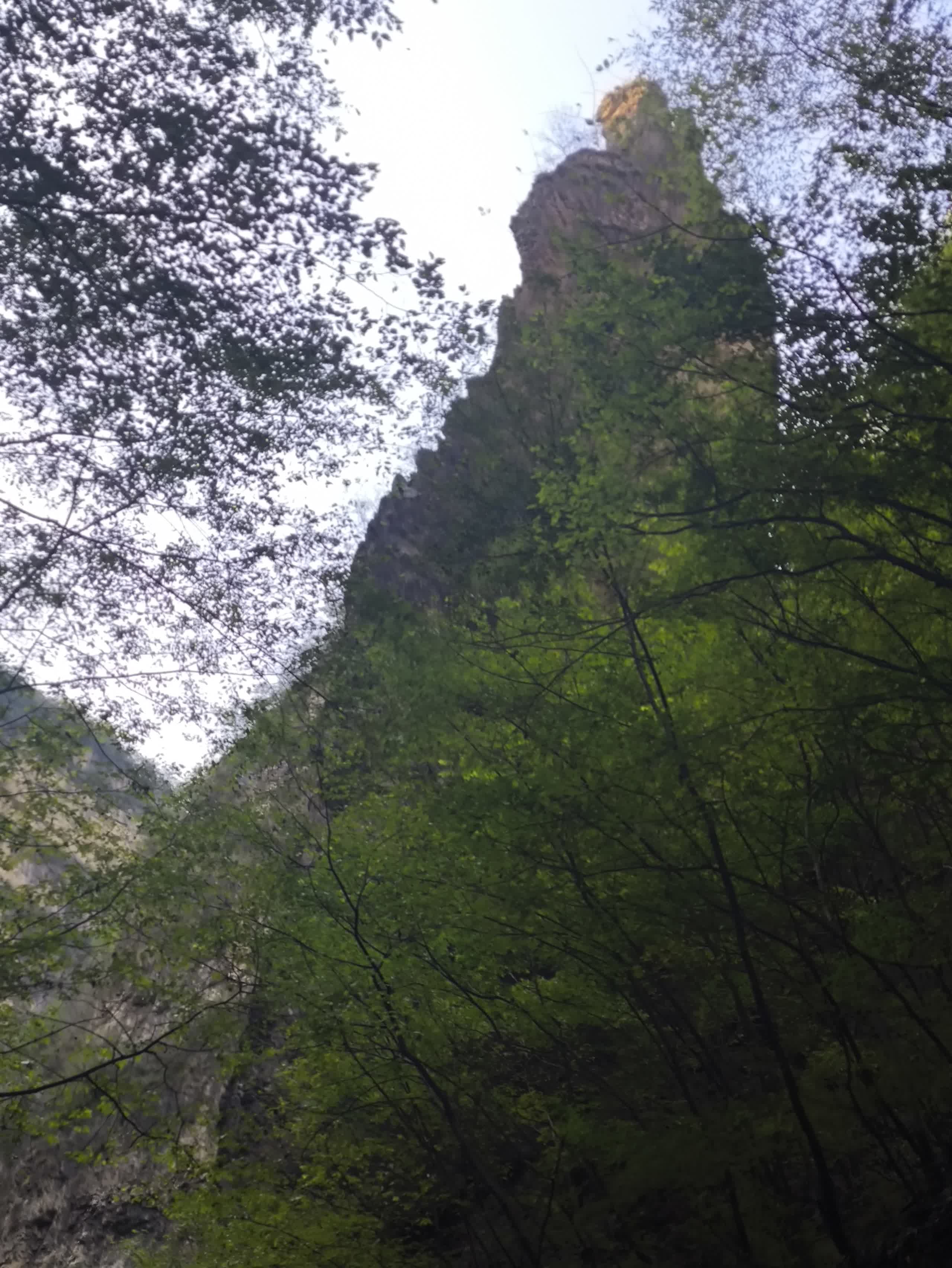 IMG_20251002_145332.jpg IMG_20251002_145332.jpg