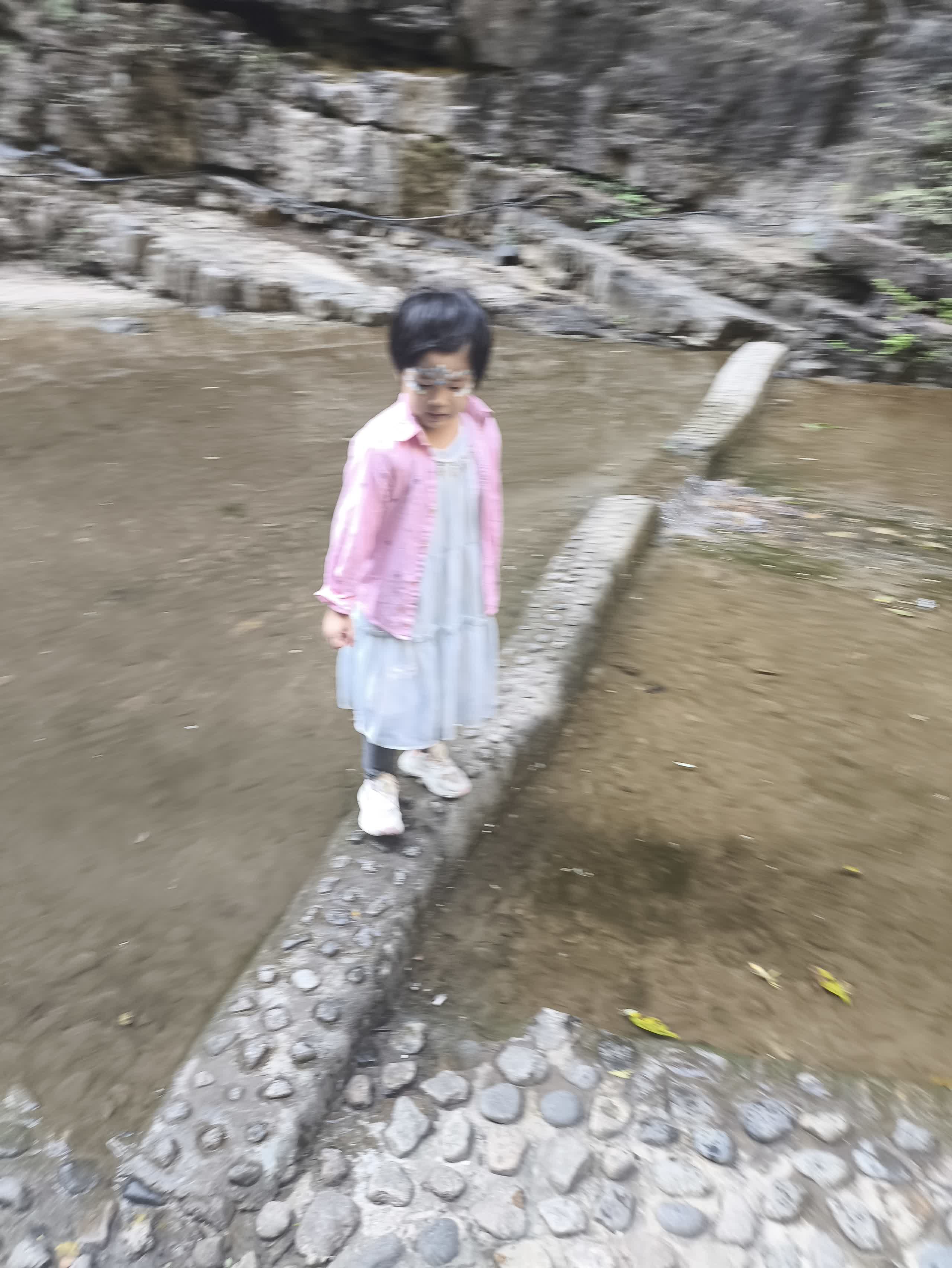 IMG_20251002_121209.jpg IMG_20251002_121209.jpg