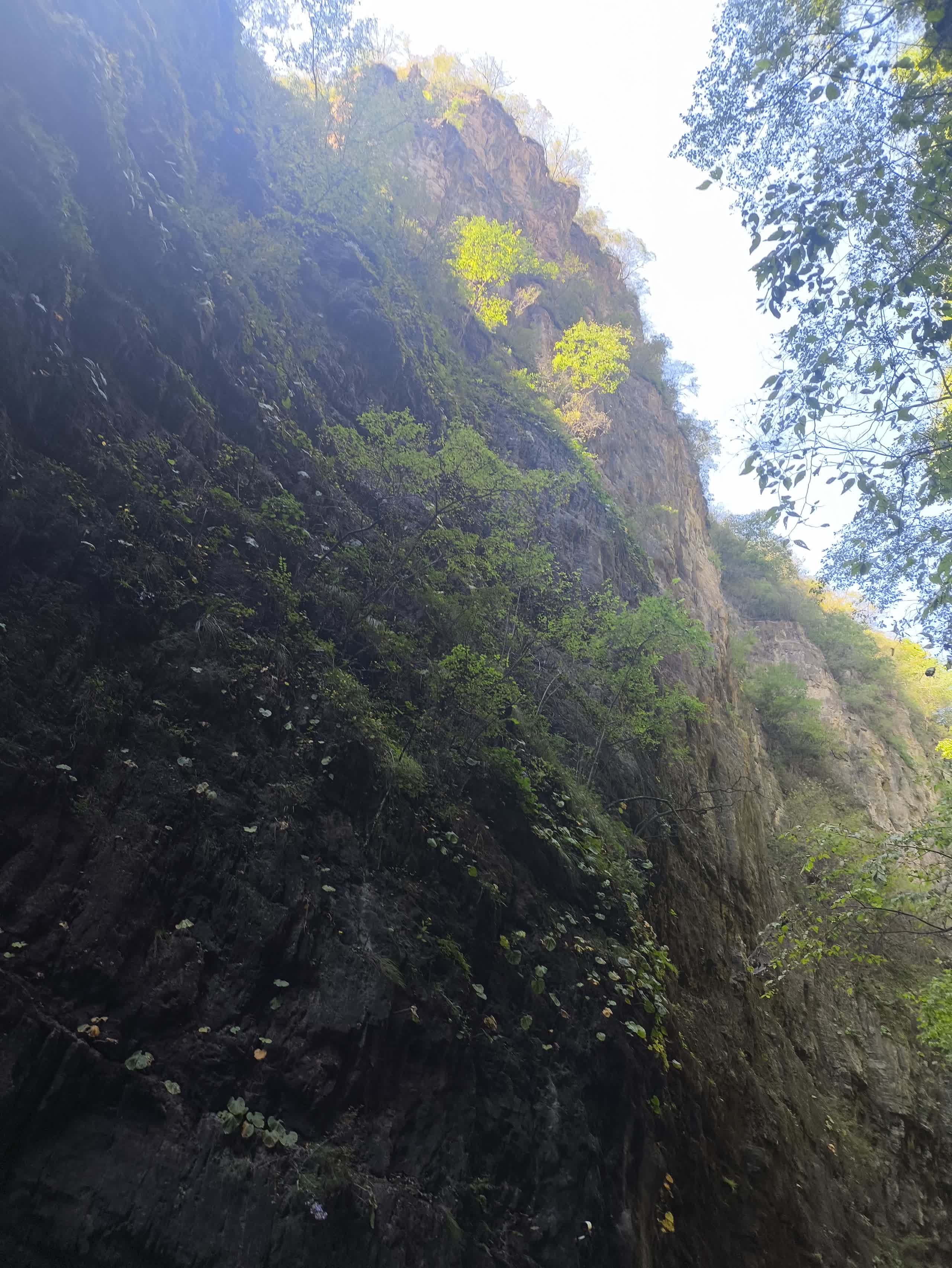 IMG_20251002_121553.jpg IMG_20251002_121553.jpg