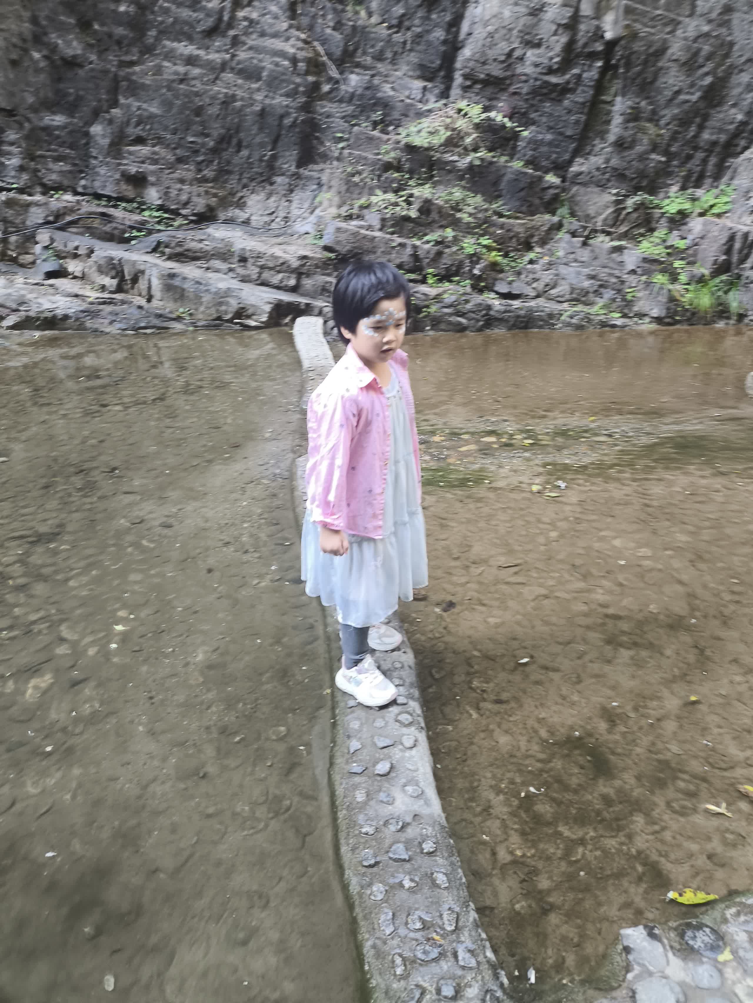 IMG_20251002_121206.jpg IMG_20251002_121206.jpg