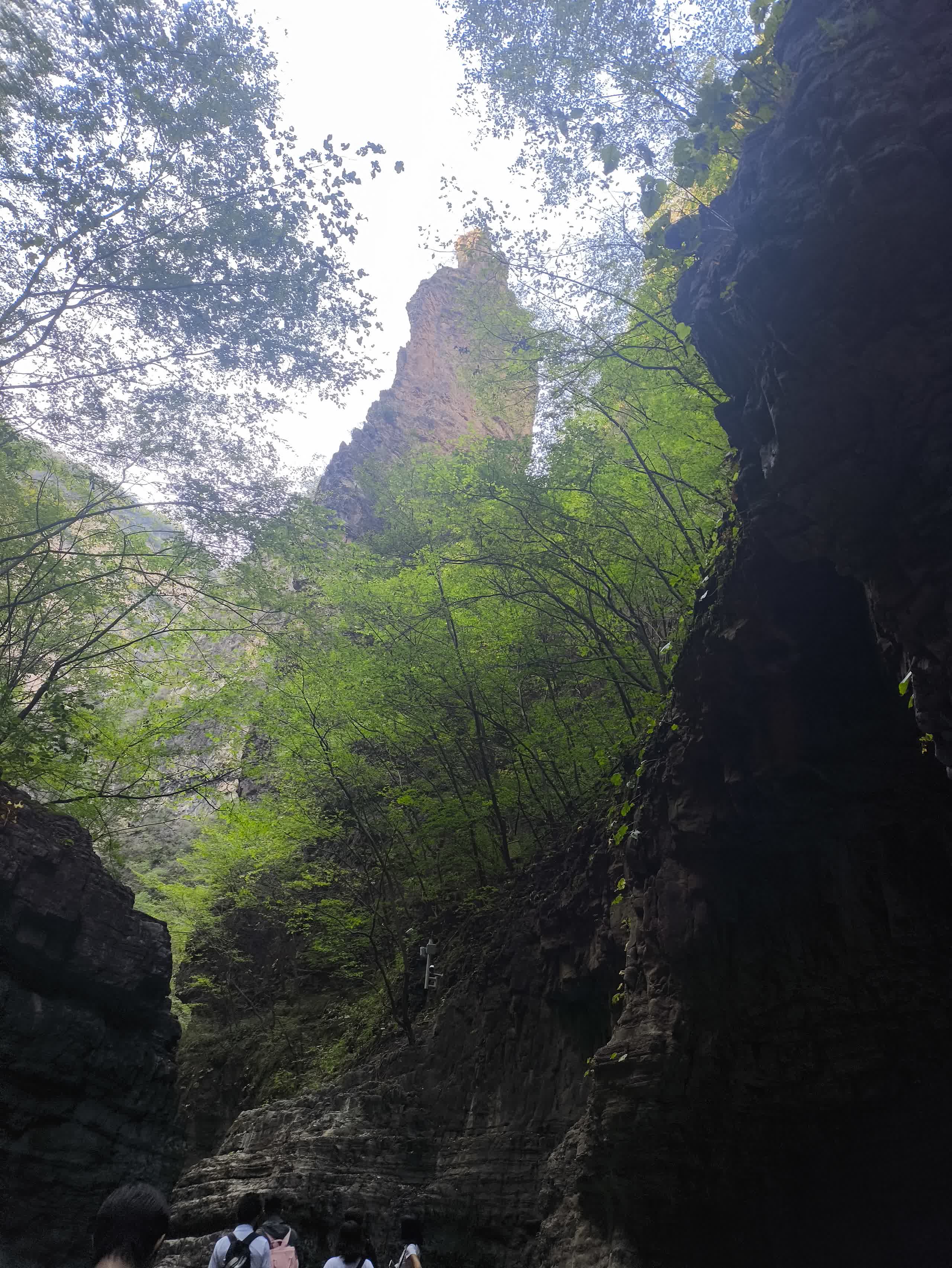 IMG_20251002_145324.jpg IMG_20251002_145324.jpg