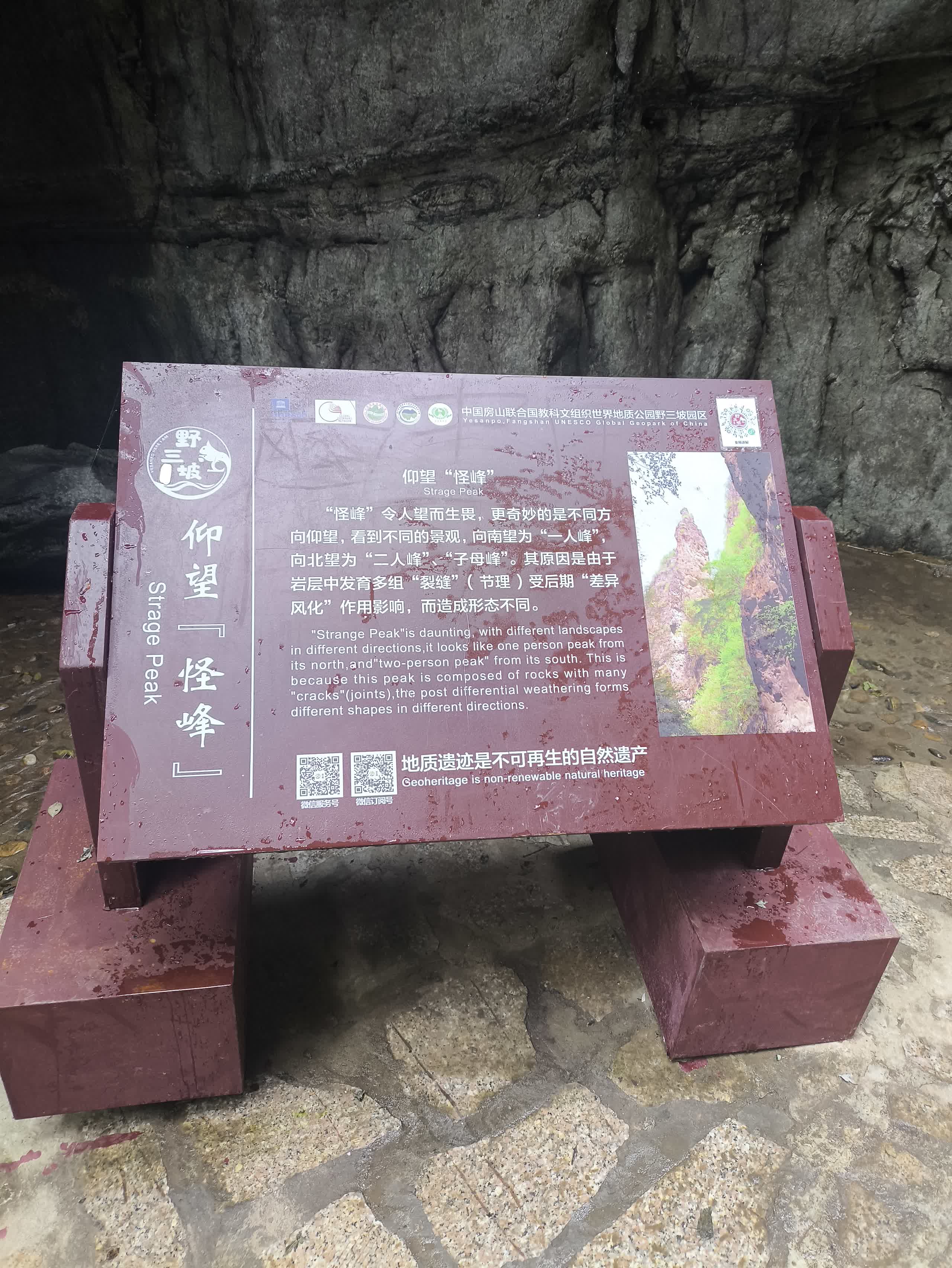 IMG_20251002_123642.jpg IMG_20251002_123642.jpg