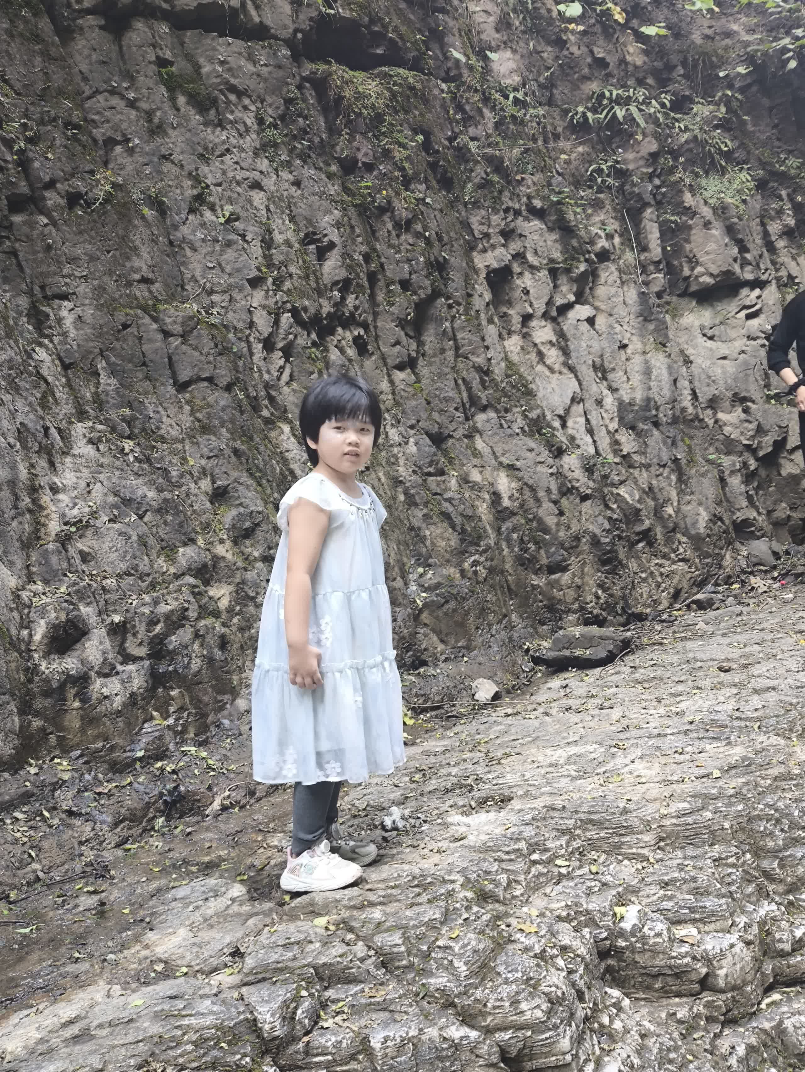 IMG_20251002_145409.jpg IMG_20251002_145409.jpg