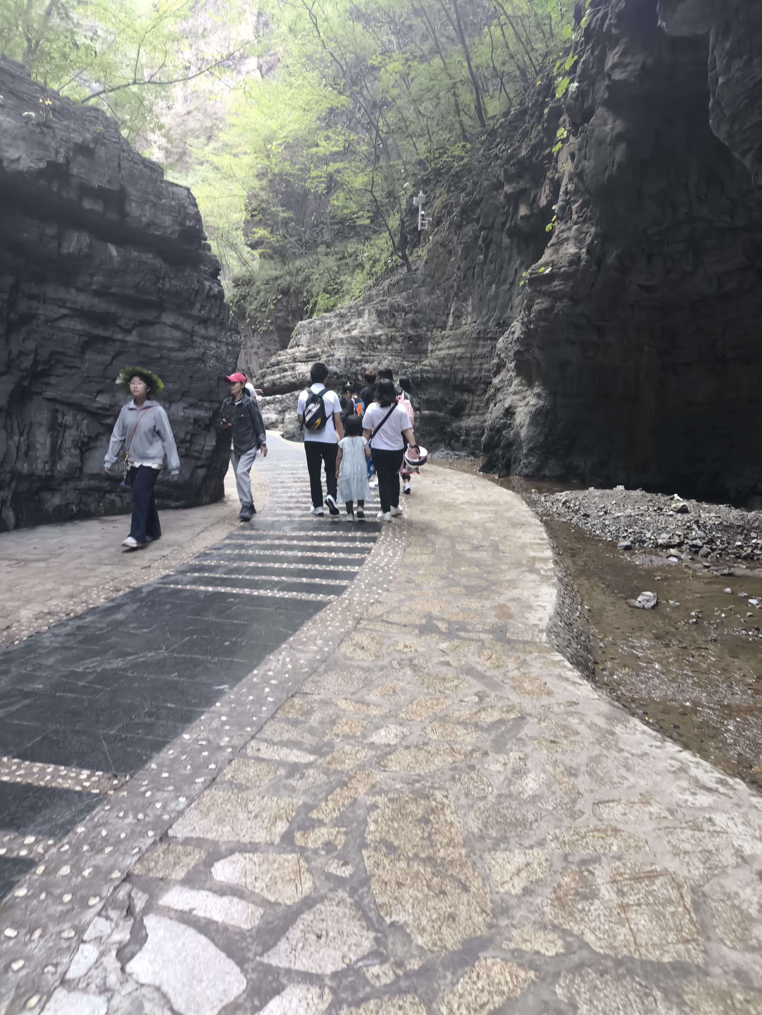 IMG_20251002_145322.jpg IMG_20251002_145322.jpg