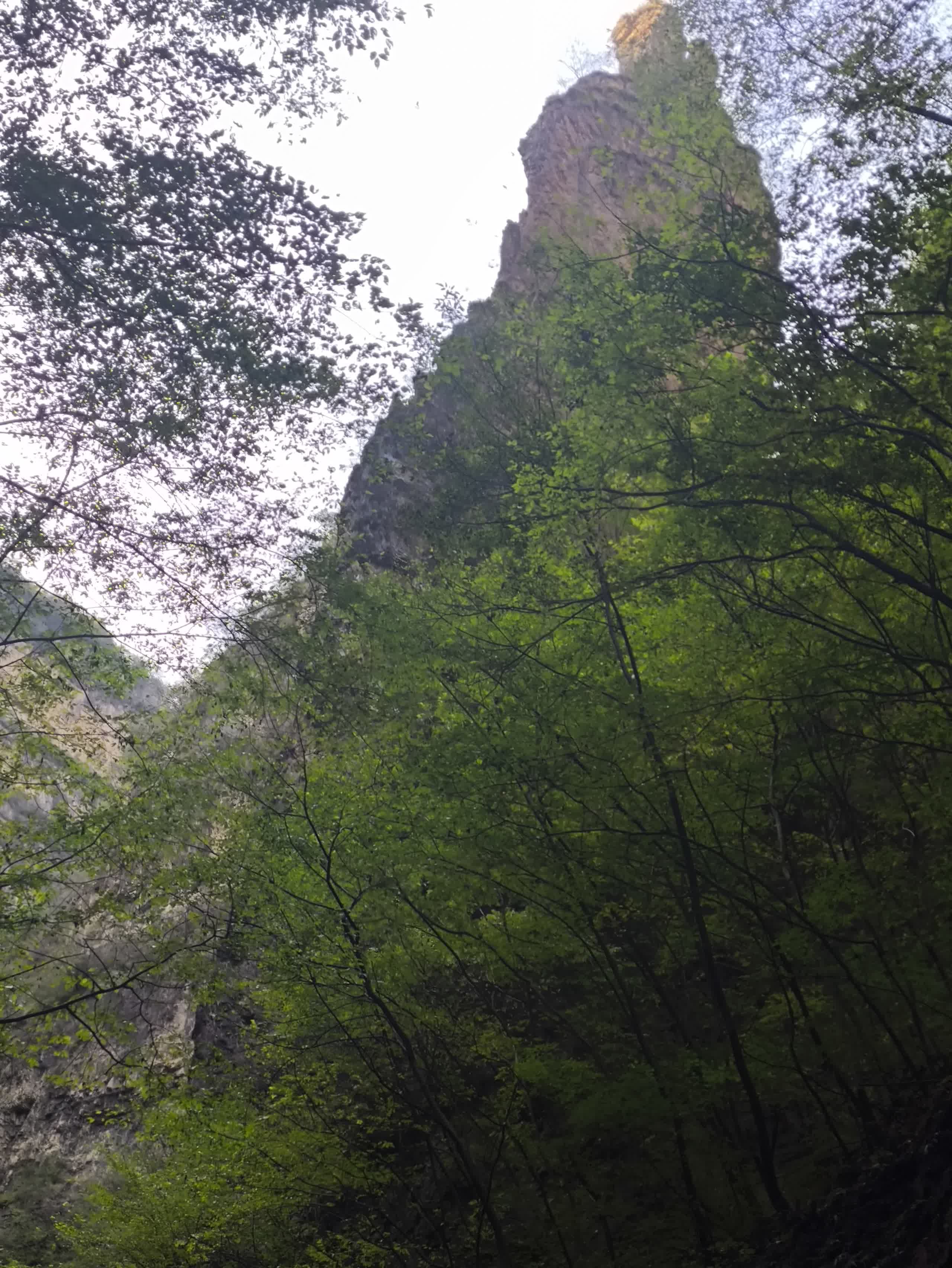 IMG_20251002_145330.jpg IMG_20251002_145330.jpg