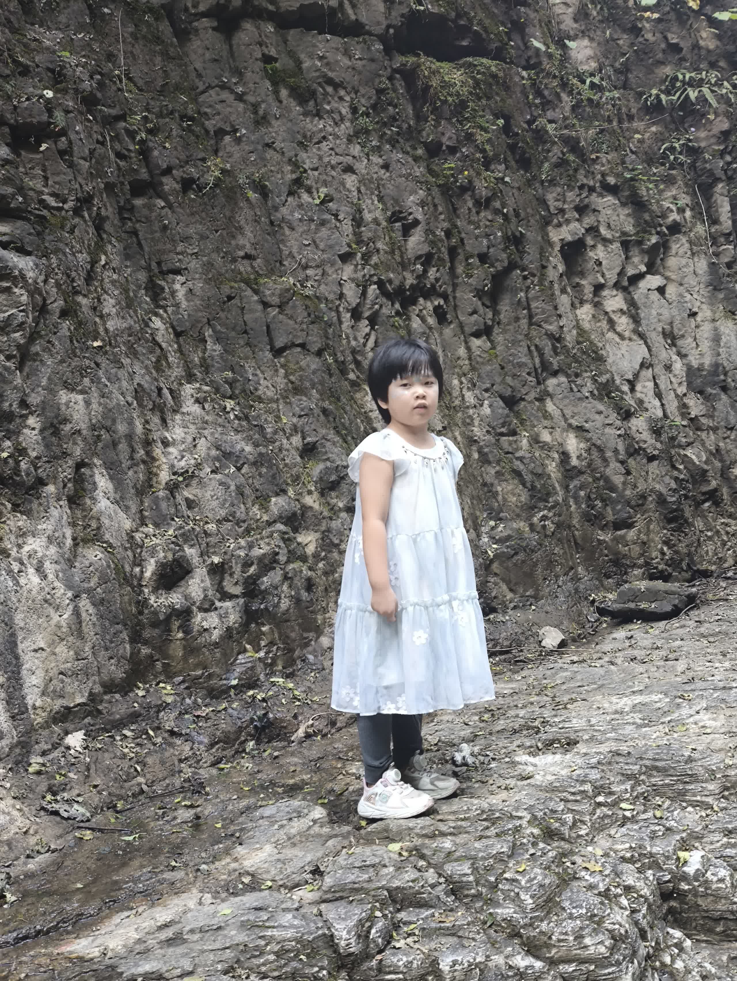 IMG_20251002_145411.jpg IMG_20251002_145411.jpg