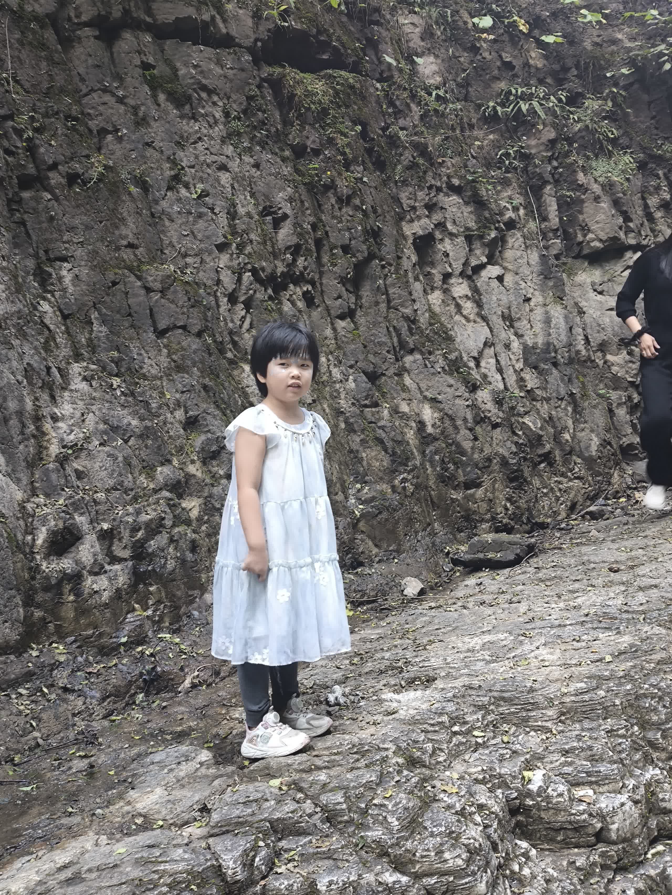 IMG_20251002_145410.jpg IMG_20251002_145410.jpg