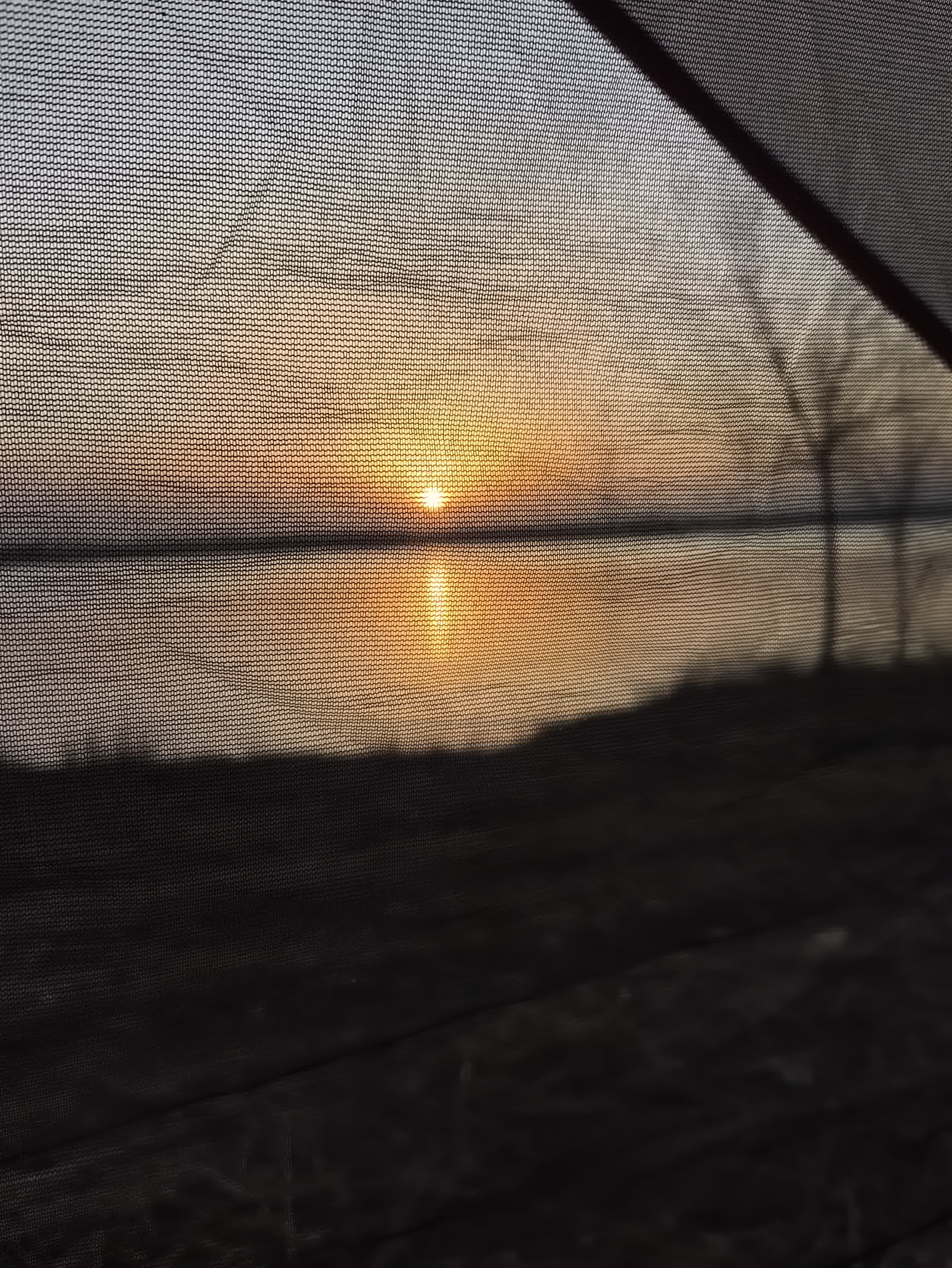 IMG_20251220_164921.jpg IMG_20251220_164921.jpg